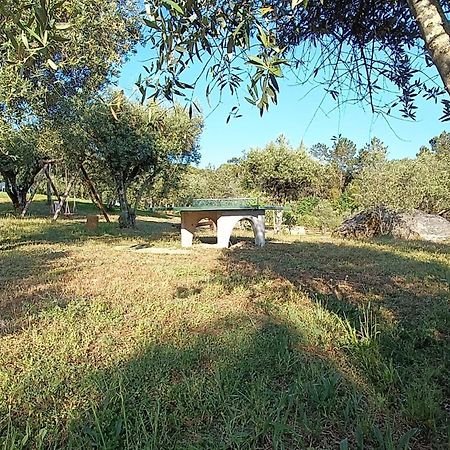Quinta Da Pedra Mija ξενώνας Santar Εξωτερικό φωτογραφία