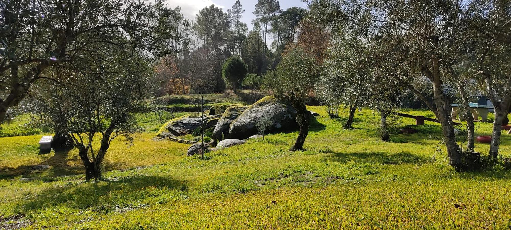 Quinta Da Pedra Mija ξενώνας Santar Εξωτερικό φωτογραφία