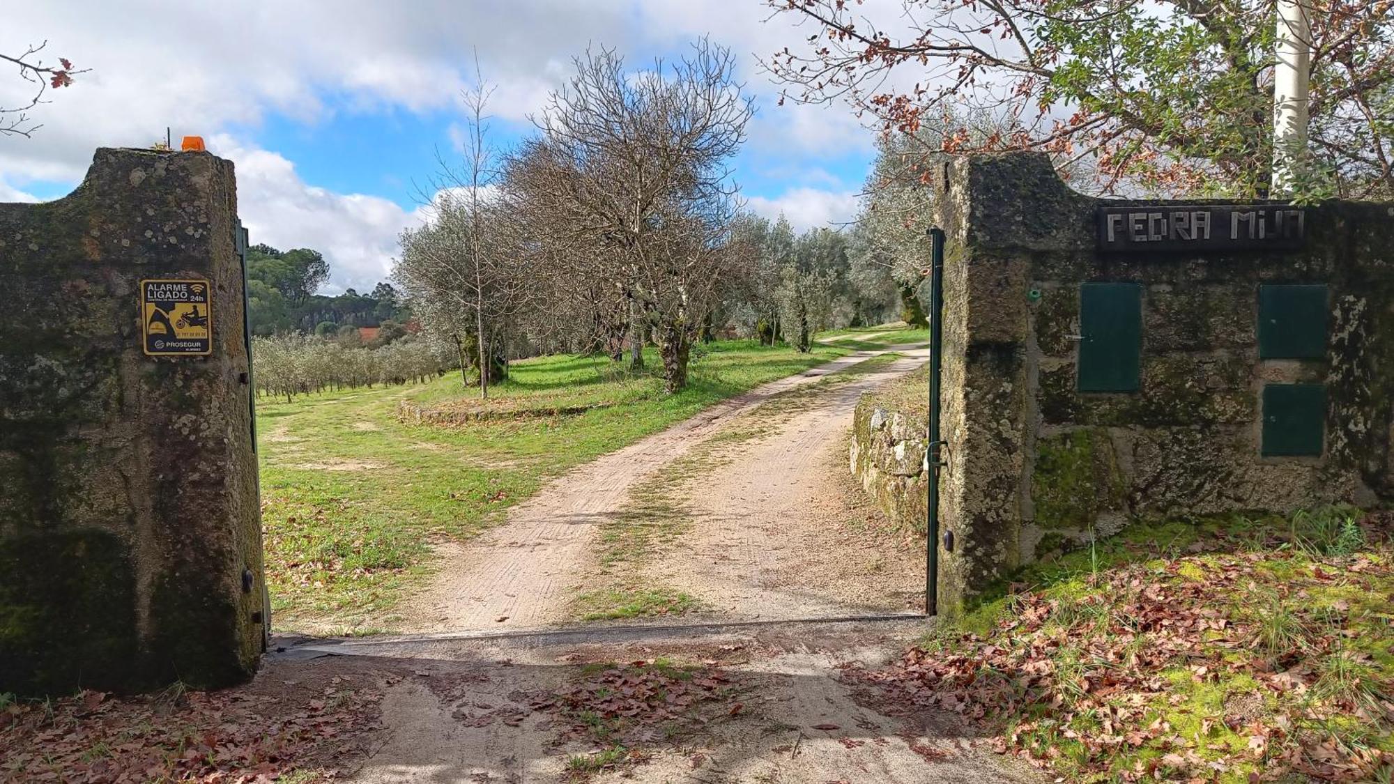 Quinta Da Pedra Mija ξενώνας Santar Εξωτερικό φωτογραφία