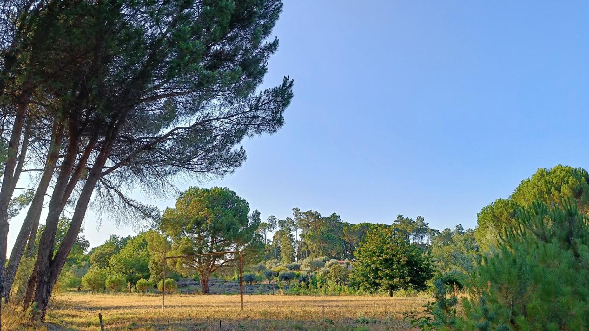 Quinta Da Pedra Mija ξενώνας Santar Εξωτερικό φωτογραφία