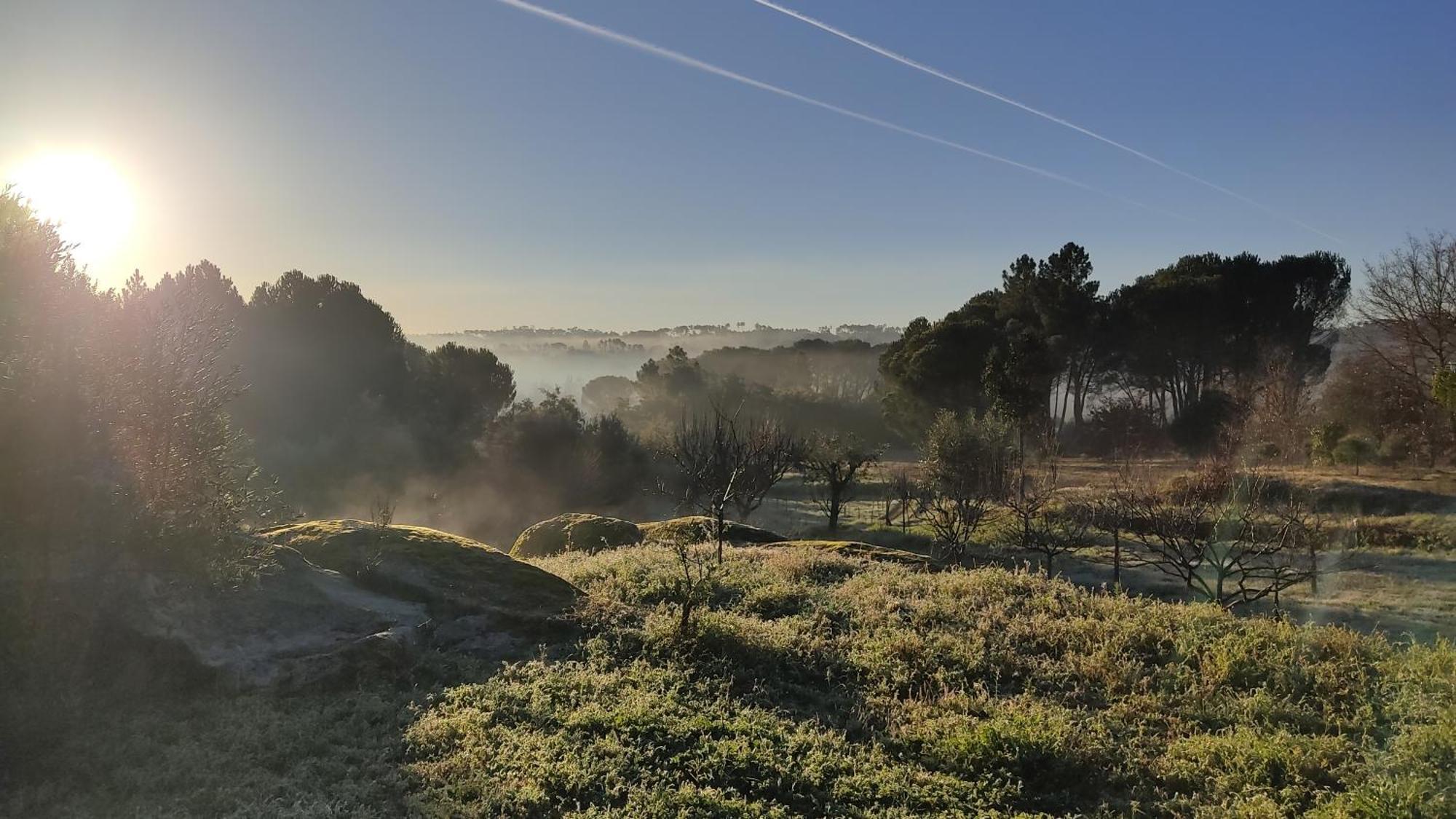 Quinta Da Pedra Mija ξενώνας Santar Εξωτερικό φωτογραφία