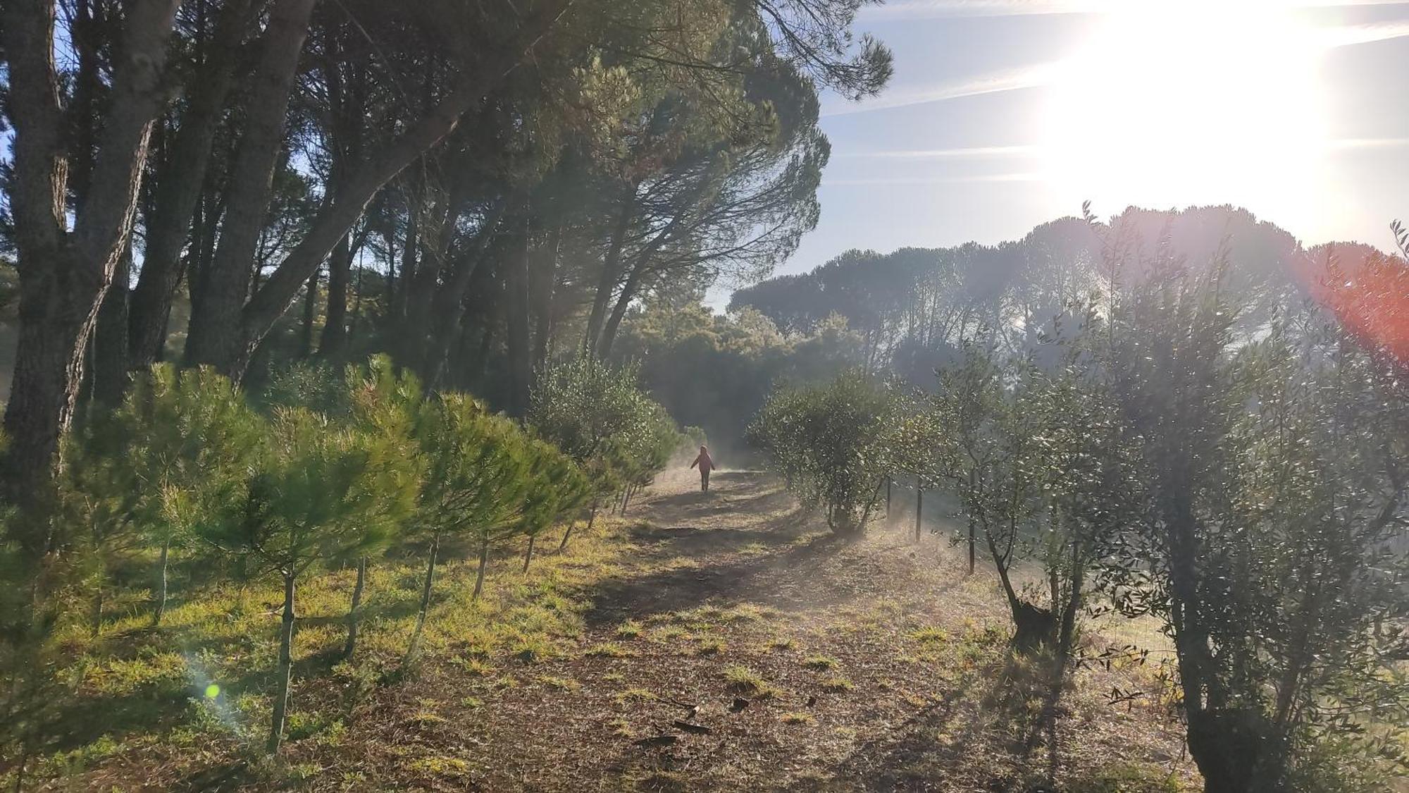Quinta Da Pedra Mija ξενώνας Santar Εξωτερικό φωτογραφία