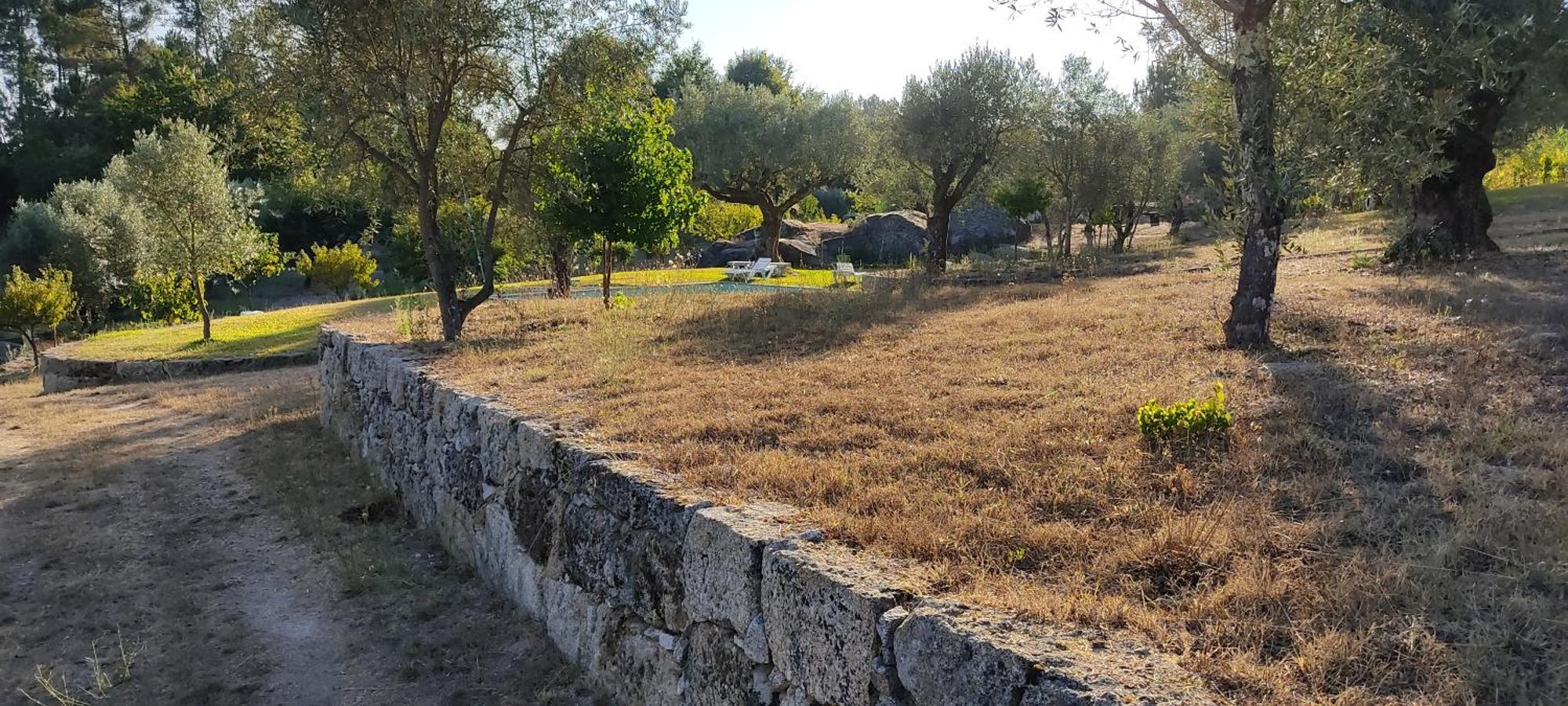 Quinta Da Pedra Mija ξενώνας Santar Εξωτερικό φωτογραφία