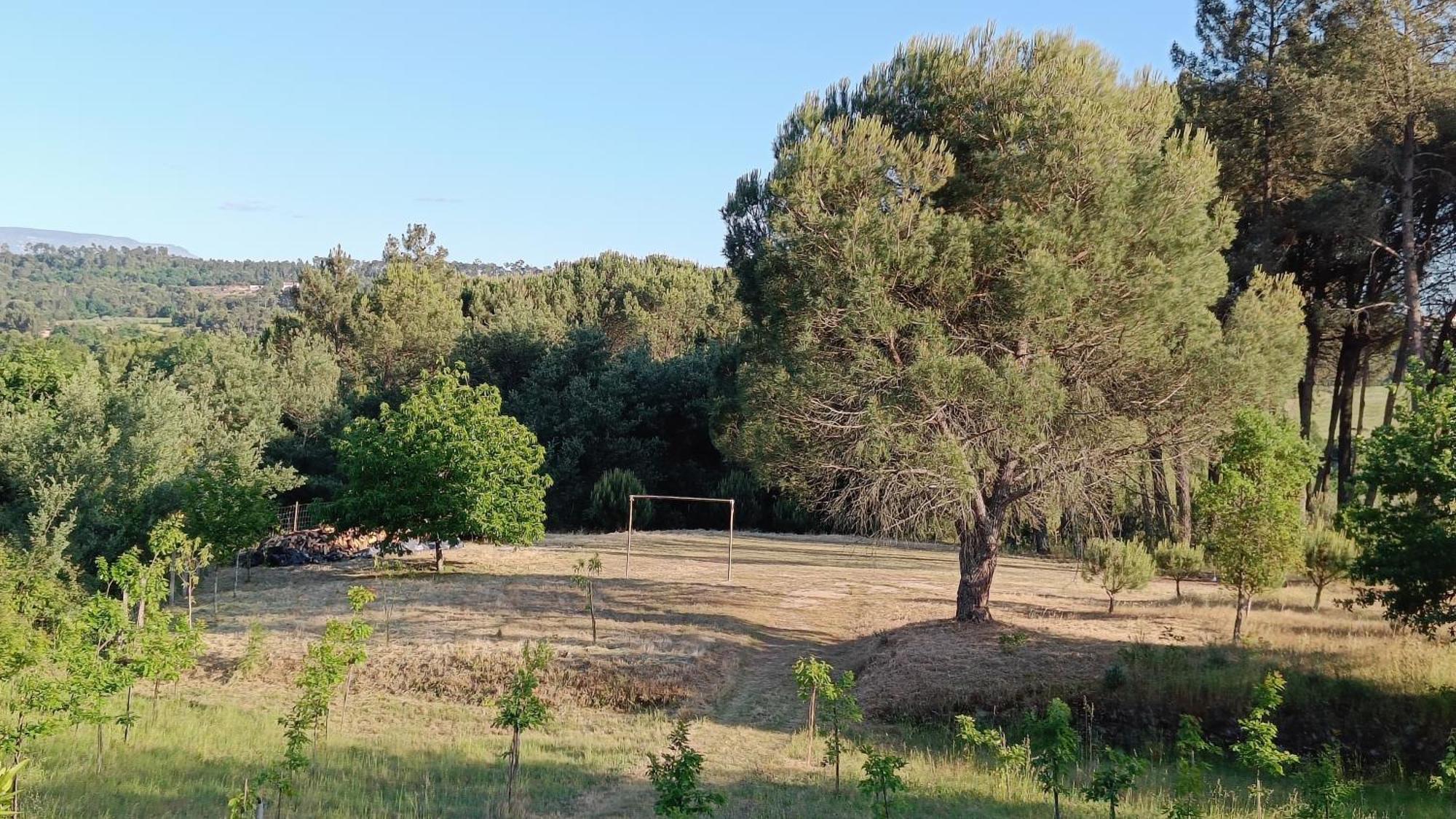 Quinta Da Pedra Mija ξενώνας Santar Εξωτερικό φωτογραφία