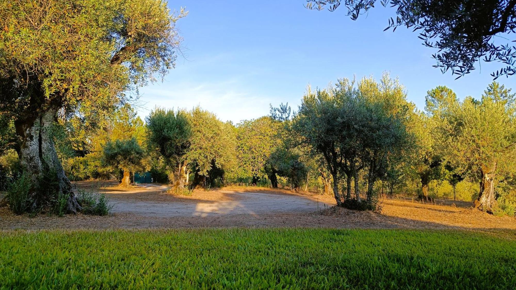 Quinta Da Pedra Mija ξενώνας Santar Εξωτερικό φωτογραφία