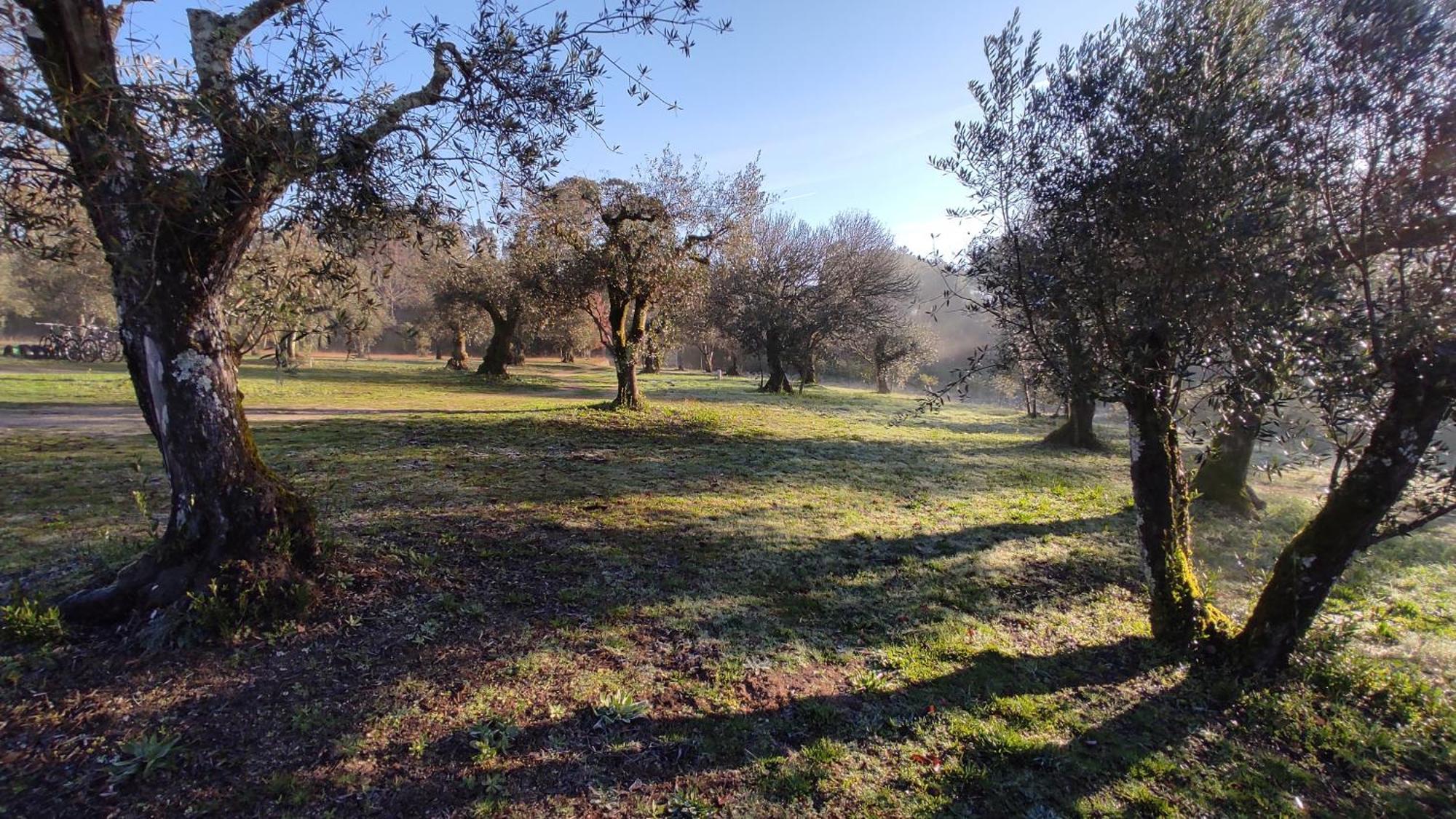 Quinta Da Pedra Mija ξενώνας Santar Εξωτερικό φωτογραφία