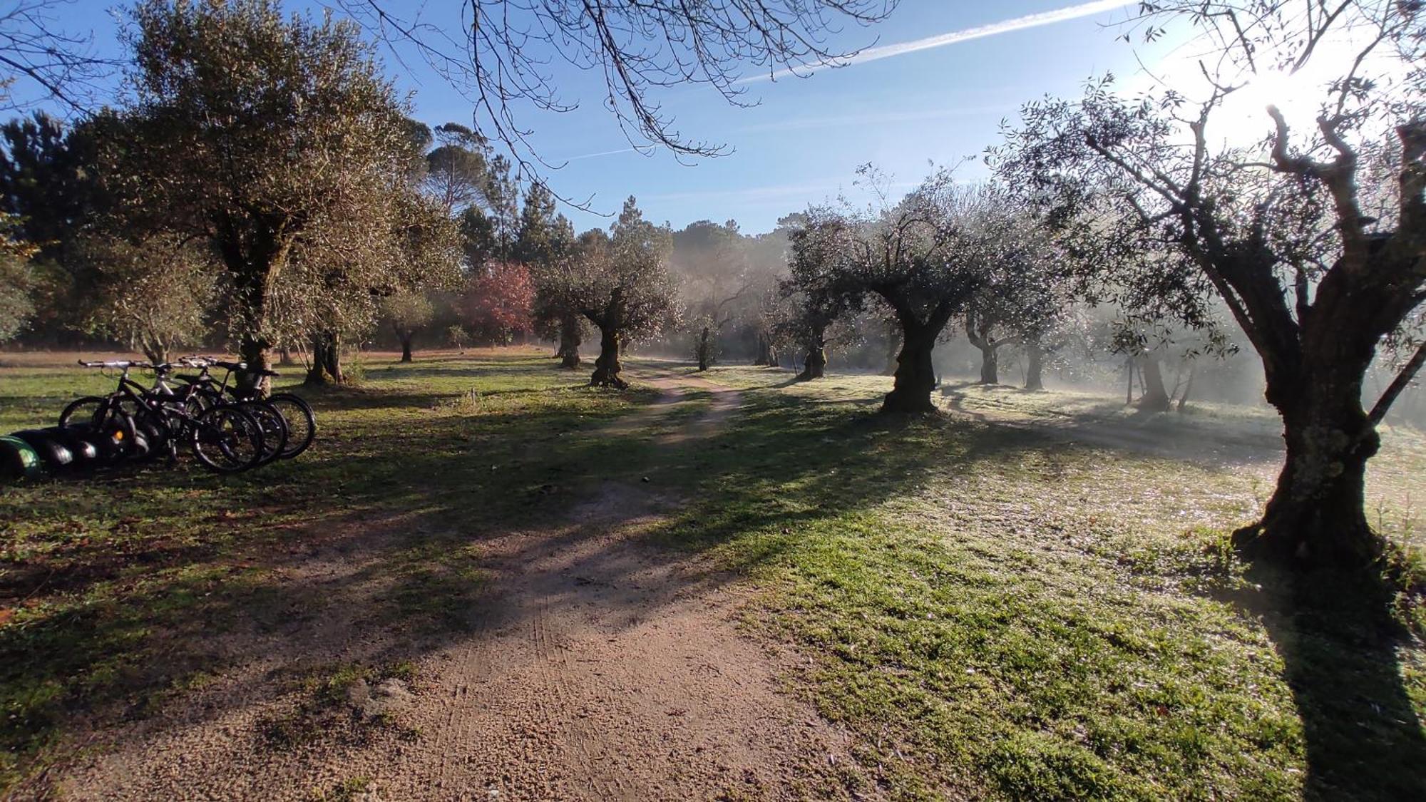 Quinta Da Pedra Mija ξενώνας Santar Εξωτερικό φωτογραφία