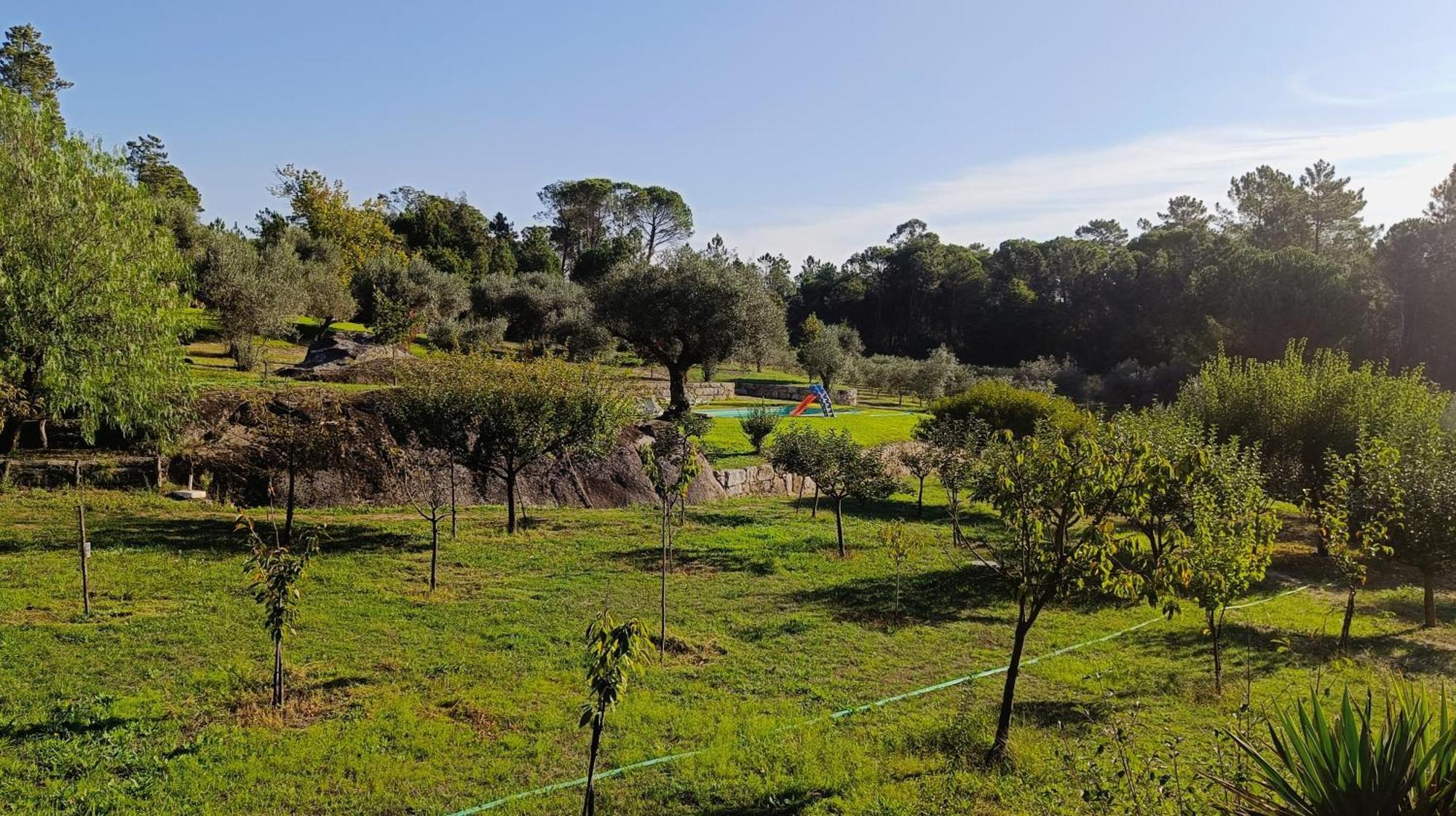 Quinta Da Pedra Mija ξενώνας Santar Εξωτερικό φωτογραφία