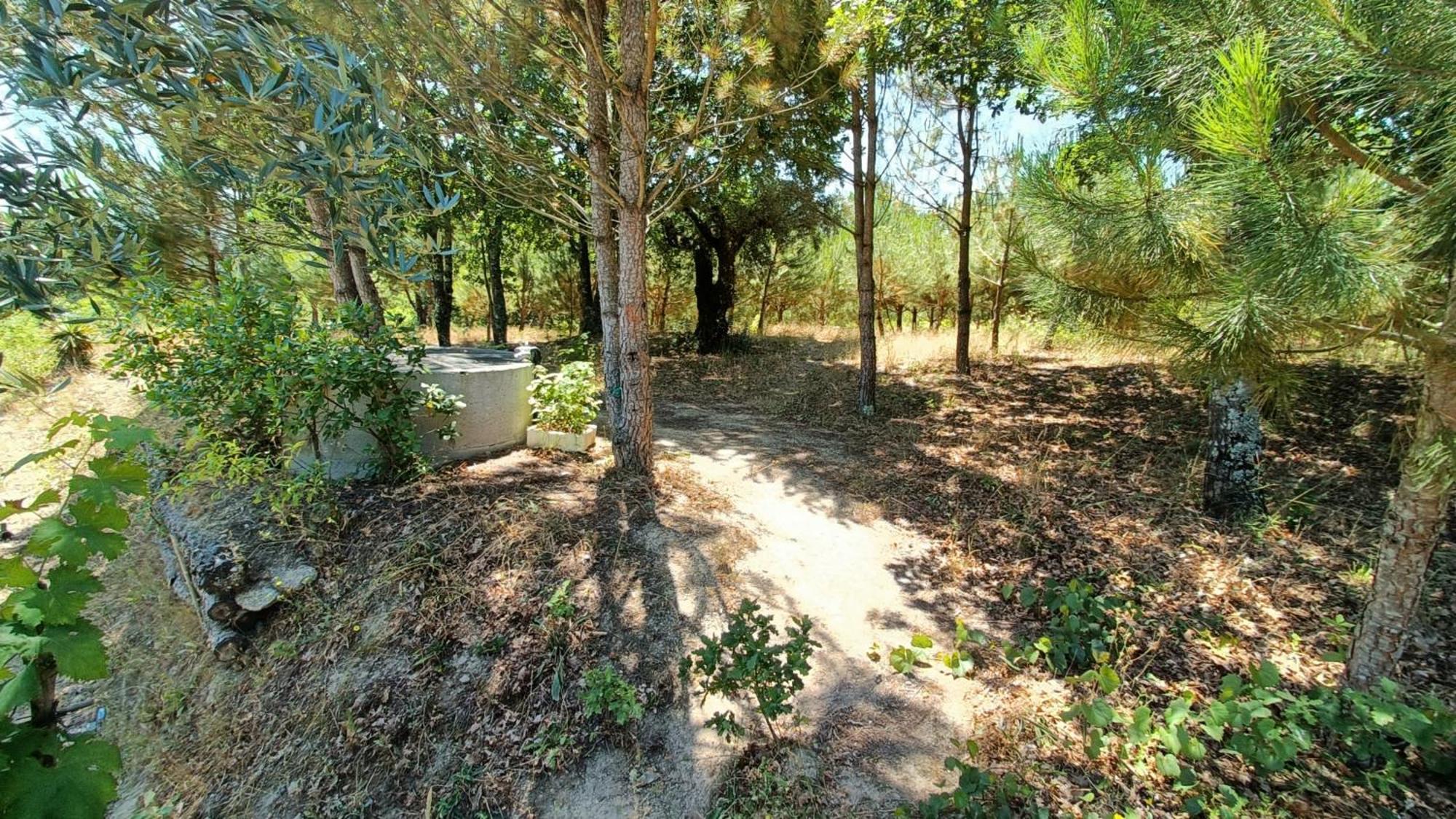 Quinta Da Pedra Mija ξενώνας Santar Εξωτερικό φωτογραφία