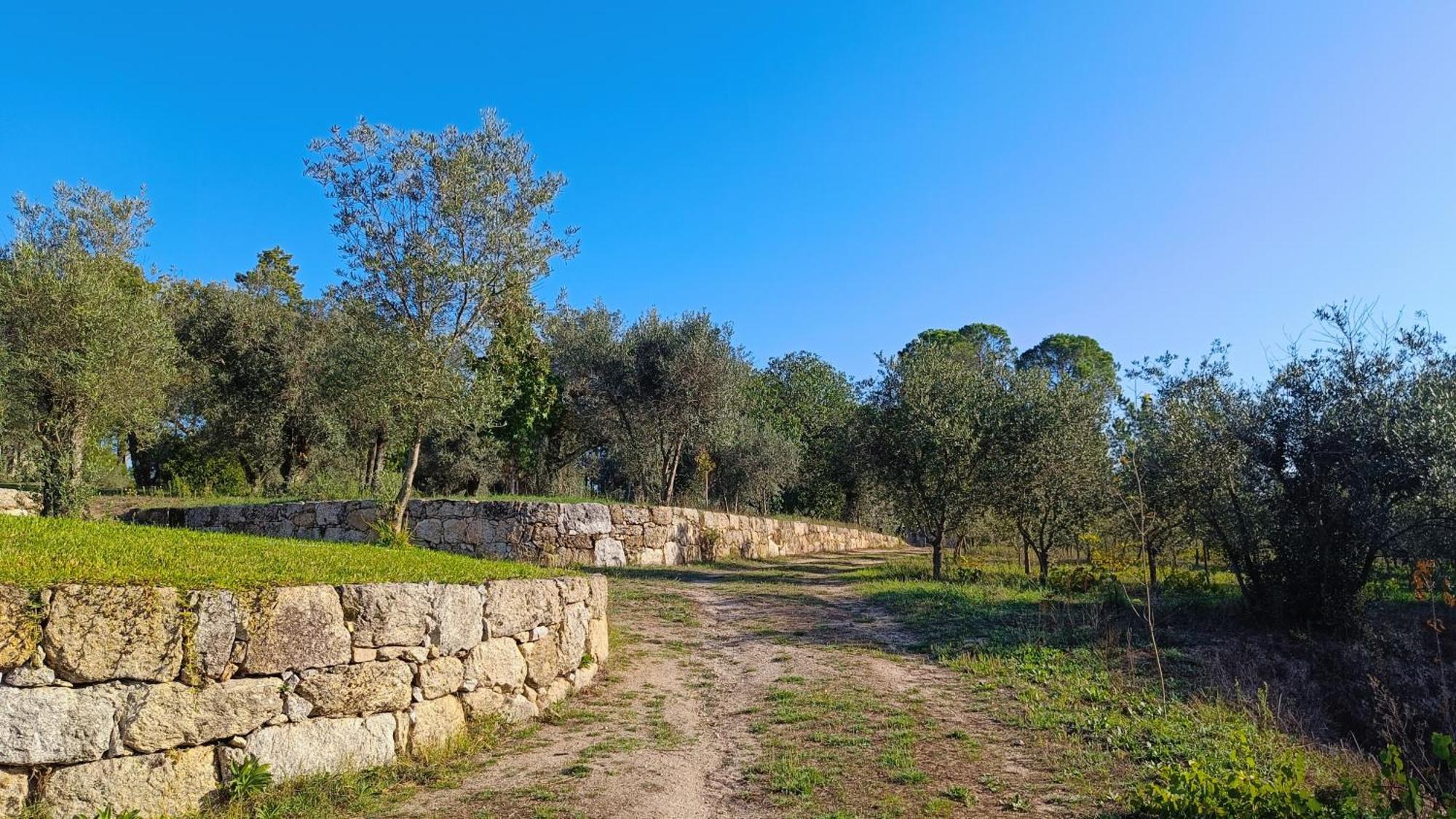 Quinta Da Pedra Mija ξενώνας Santar Εξωτερικό φωτογραφία