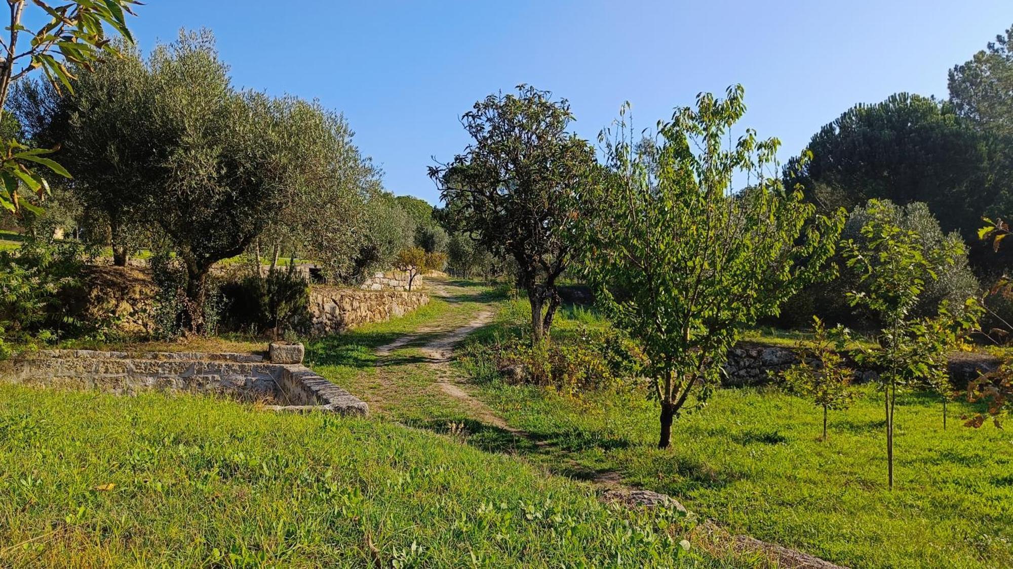 Quinta Da Pedra Mija ξενώνας Santar Εξωτερικό φωτογραφία
