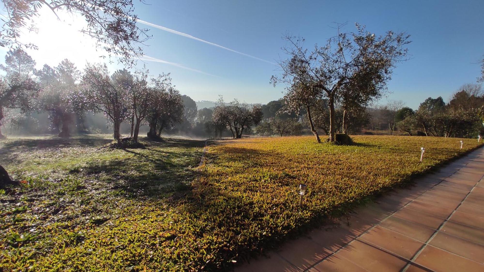 Quinta Da Pedra Mija ξενώνας Santar Εξωτερικό φωτογραφία
