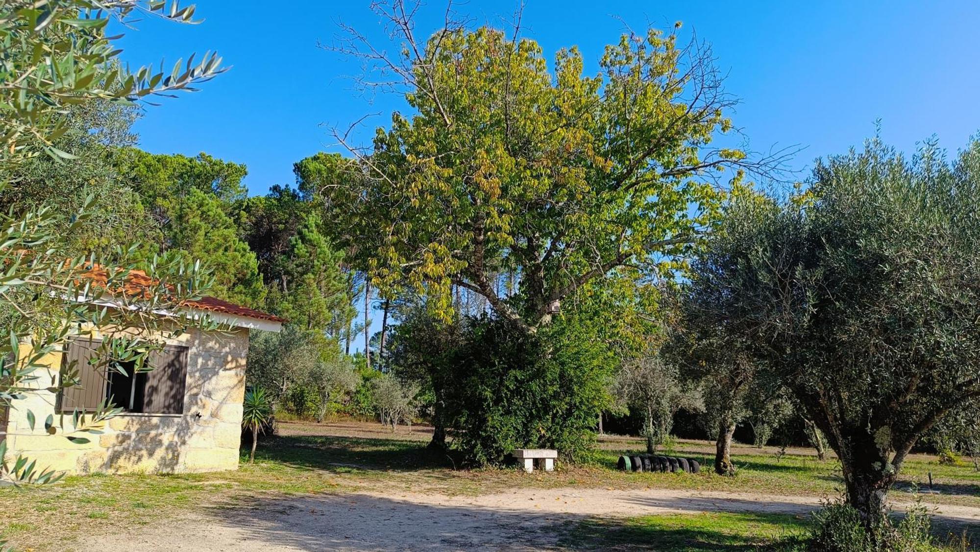 Quinta Da Pedra Mija ξενώνας Santar Εξωτερικό φωτογραφία