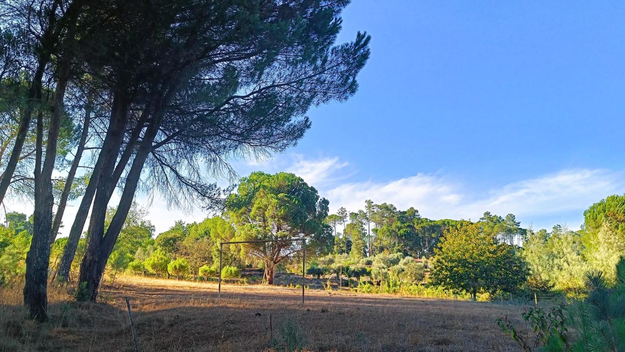 Quinta Da Pedra Mija ξενώνας Santar Εξωτερικό φωτογραφία