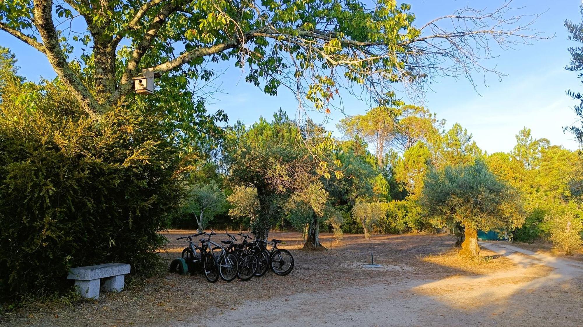 Quinta Da Pedra Mija ξενώνας Santar Εξωτερικό φωτογραφία