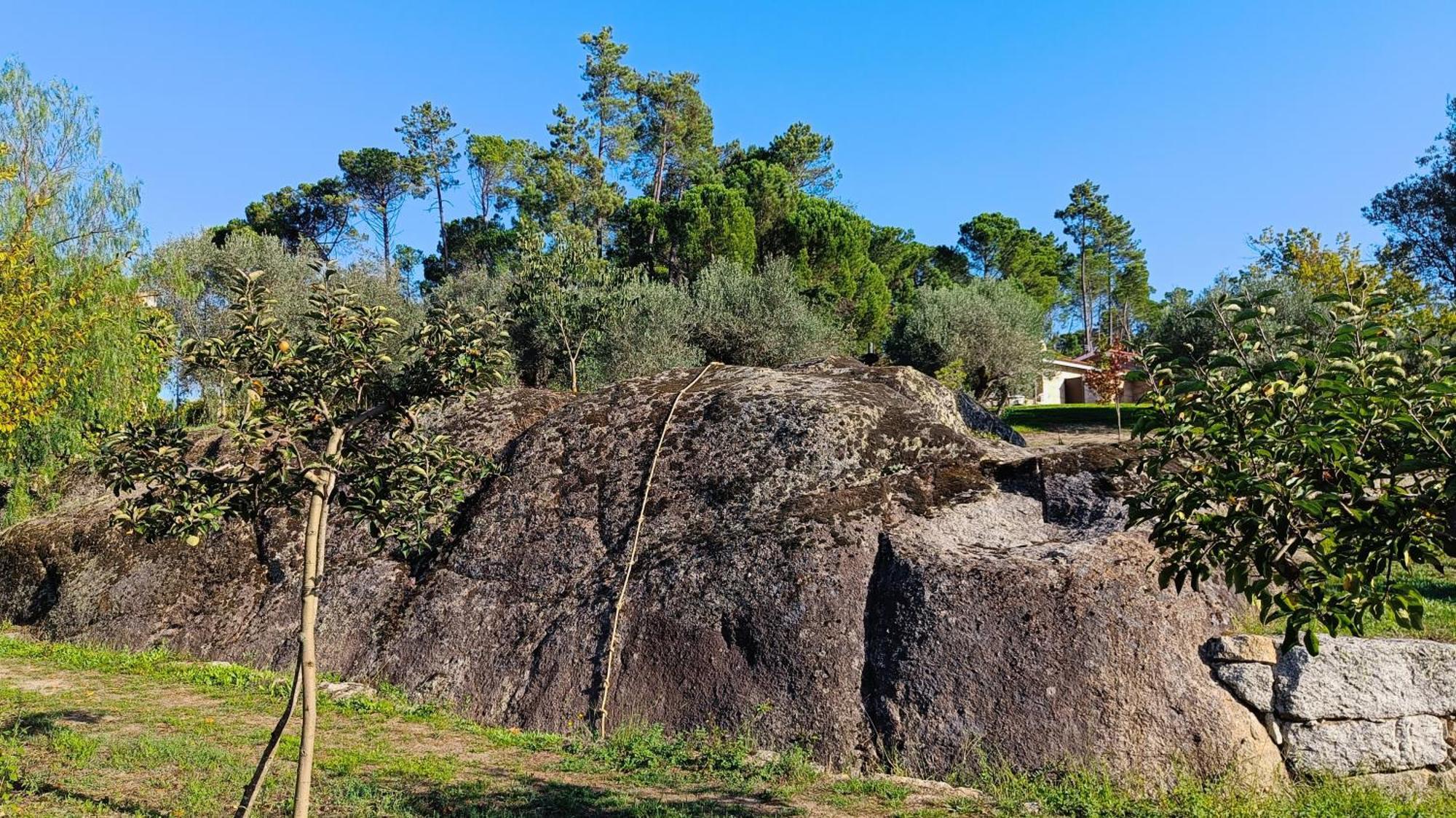Quinta Da Pedra Mija ξενώνας Santar Εξωτερικό φωτογραφία