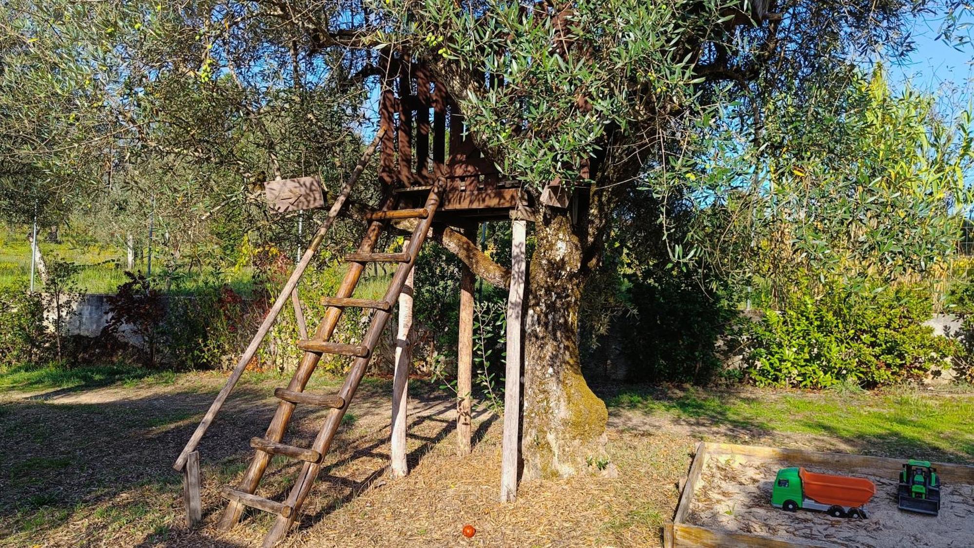 Quinta Da Pedra Mija ξενώνας Santar Εξωτερικό φωτογραφία