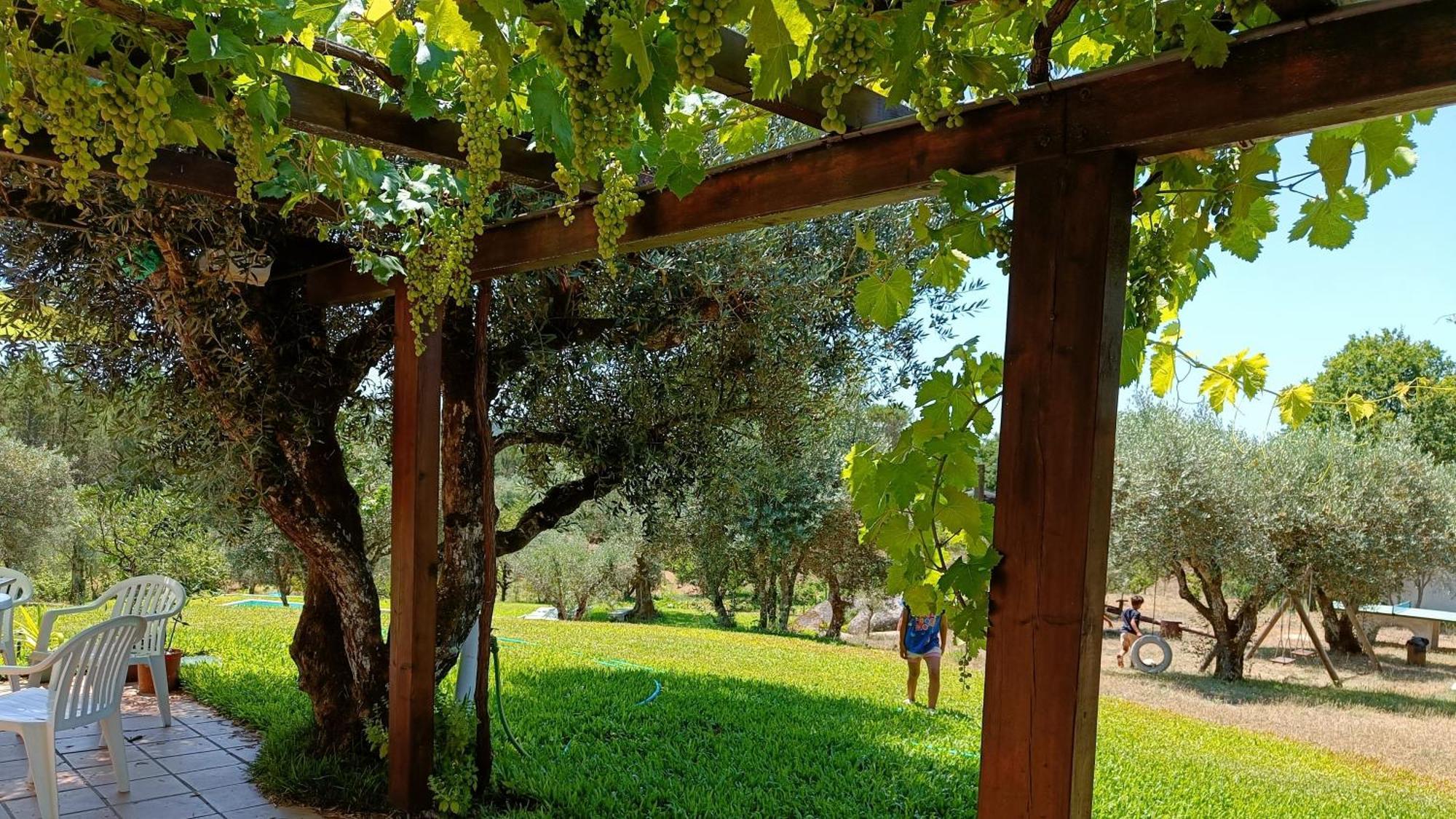Quinta Da Pedra Mija ξενώνας Santar Εξωτερικό φωτογραφία