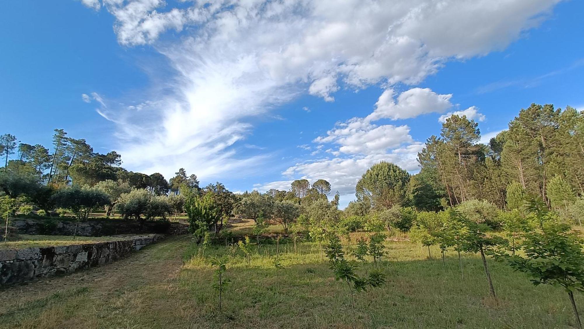 Quinta Da Pedra Mija ξενώνας Santar Εξωτερικό φωτογραφία