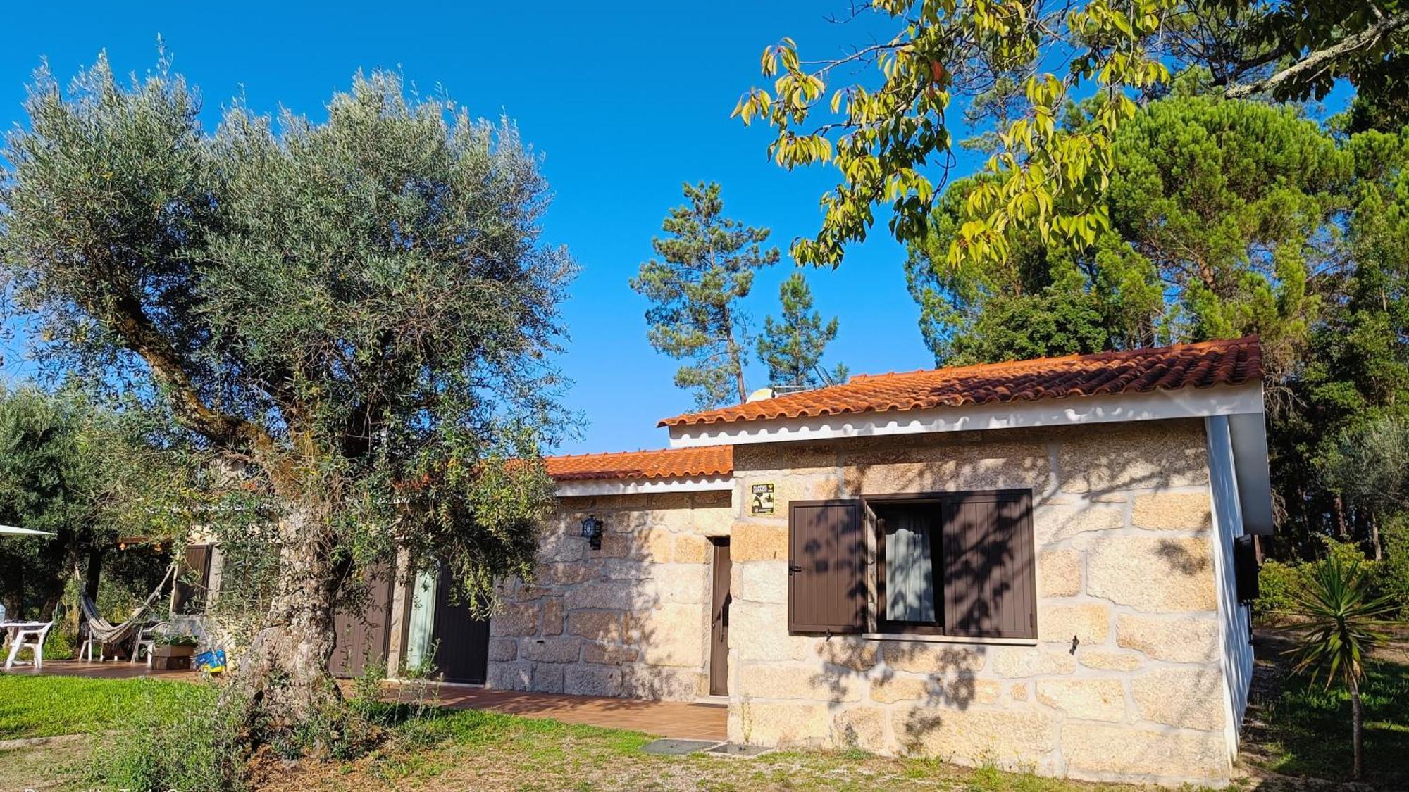 Quinta Da Pedra Mija ξενώνας Santar Εξωτερικό φωτογραφία