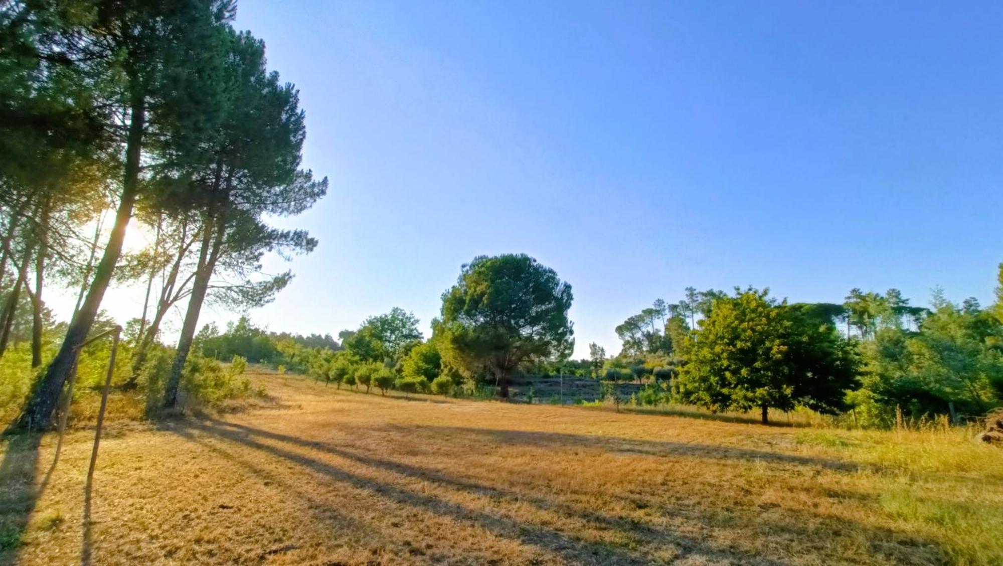 Quinta Da Pedra Mija ξενώνας Santar Εξωτερικό φωτογραφία