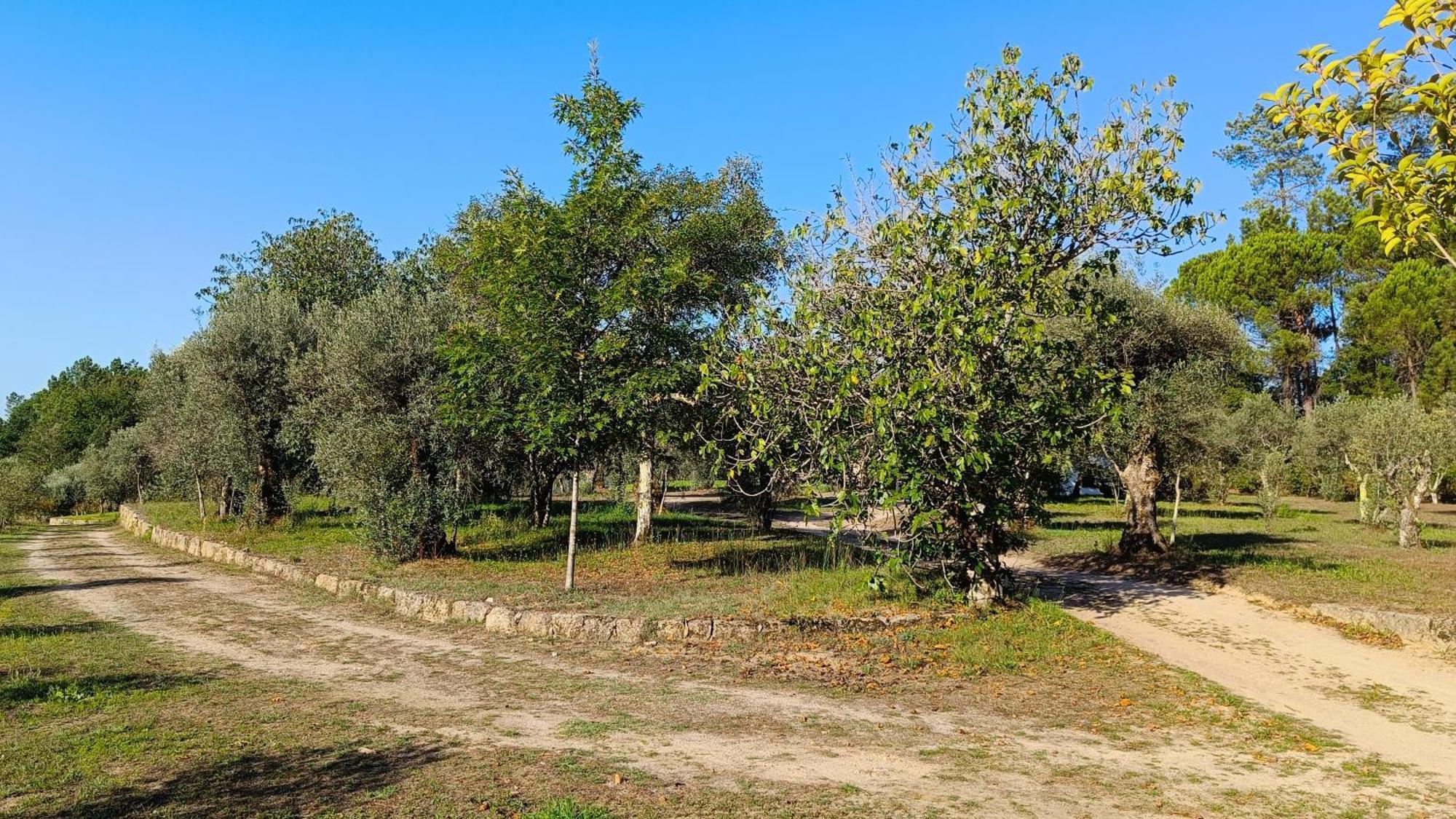 Quinta Da Pedra Mija ξενώνας Santar Εξωτερικό φωτογραφία