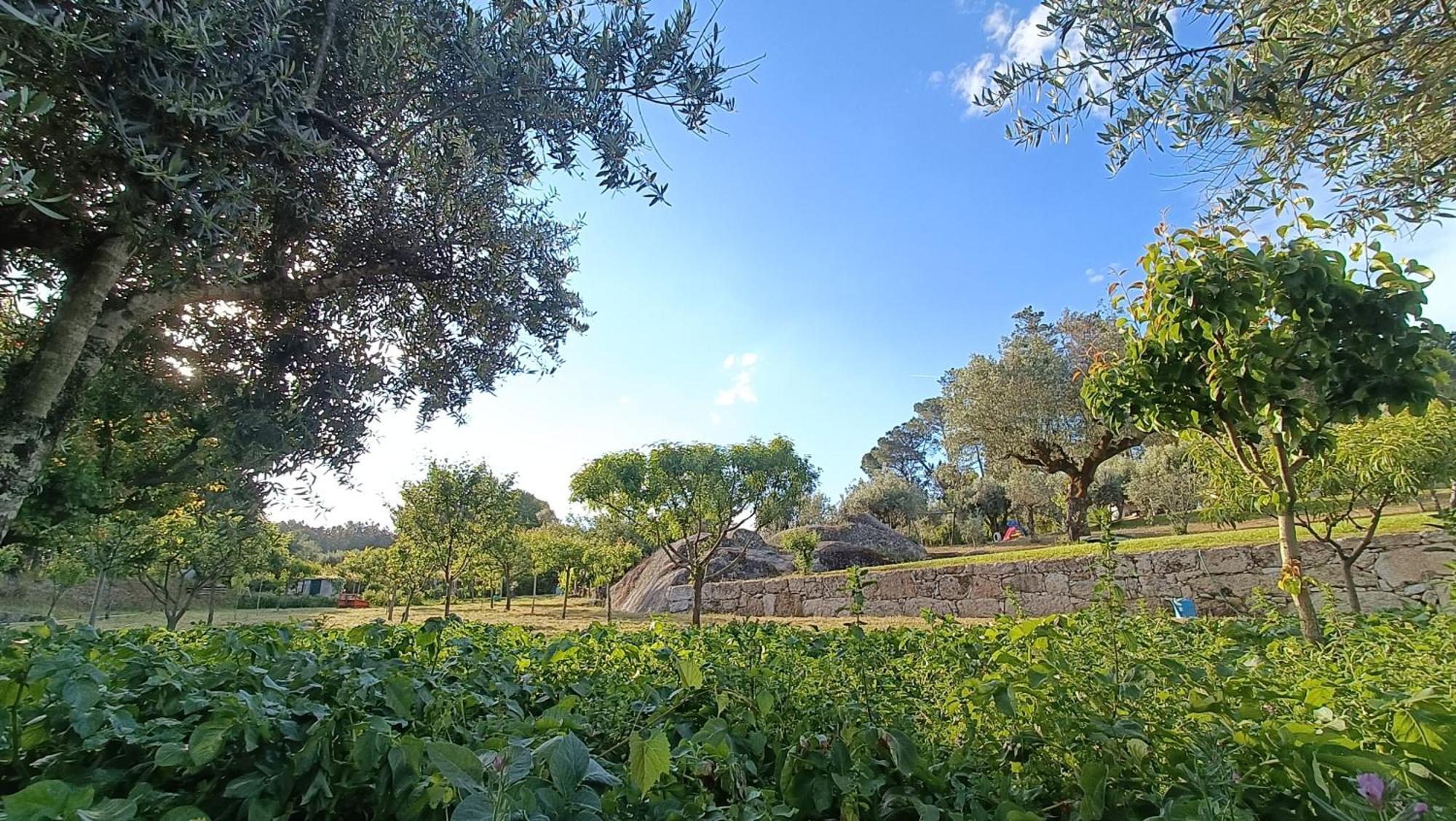 Quinta Da Pedra Mija ξενώνας Santar Εξωτερικό φωτογραφία