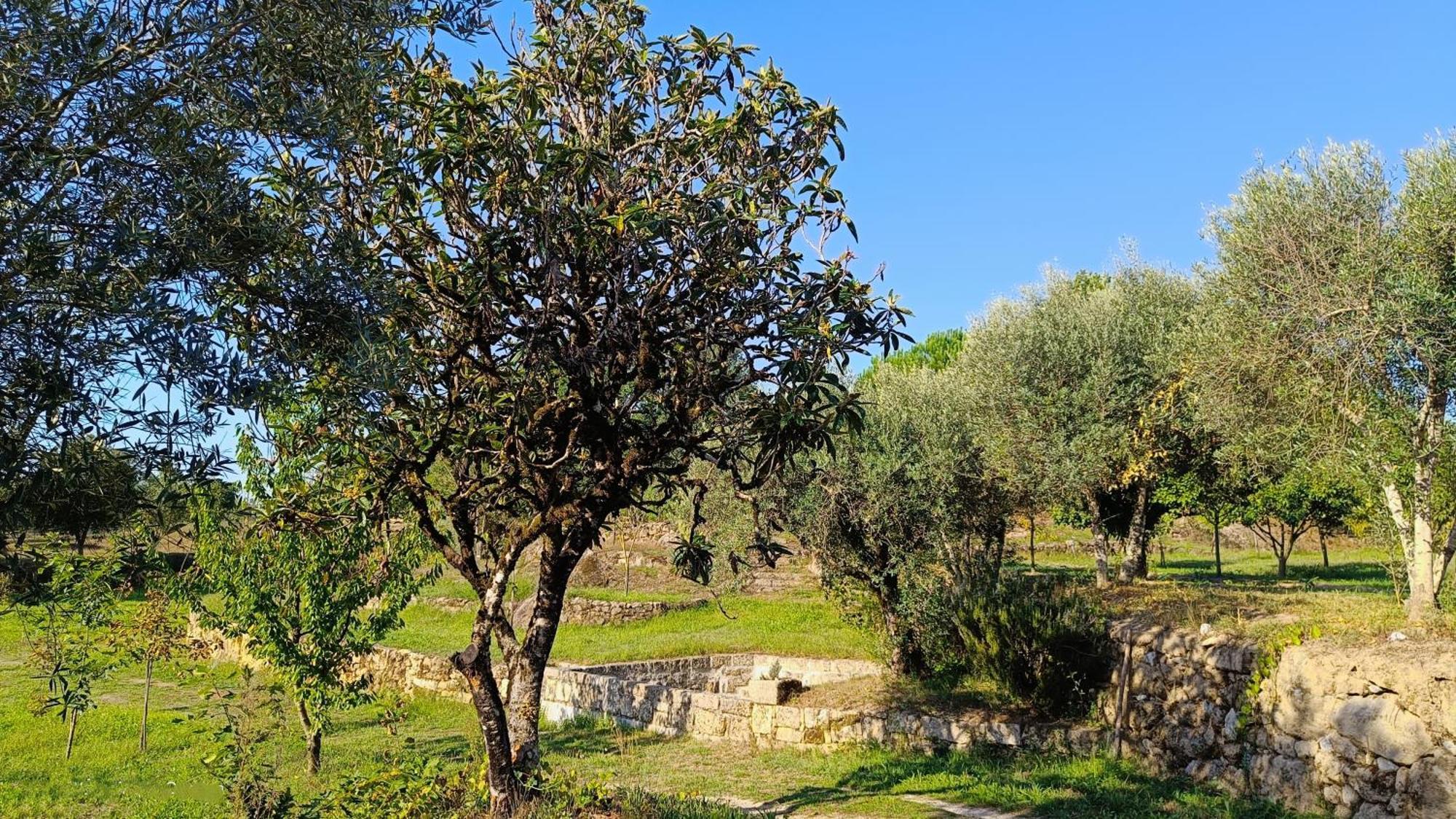 Quinta Da Pedra Mija ξενώνας Santar Εξωτερικό φωτογραφία