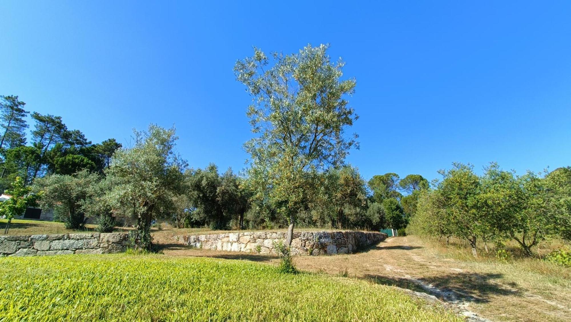 Quinta Da Pedra Mija ξενώνας Santar Εξωτερικό φωτογραφία