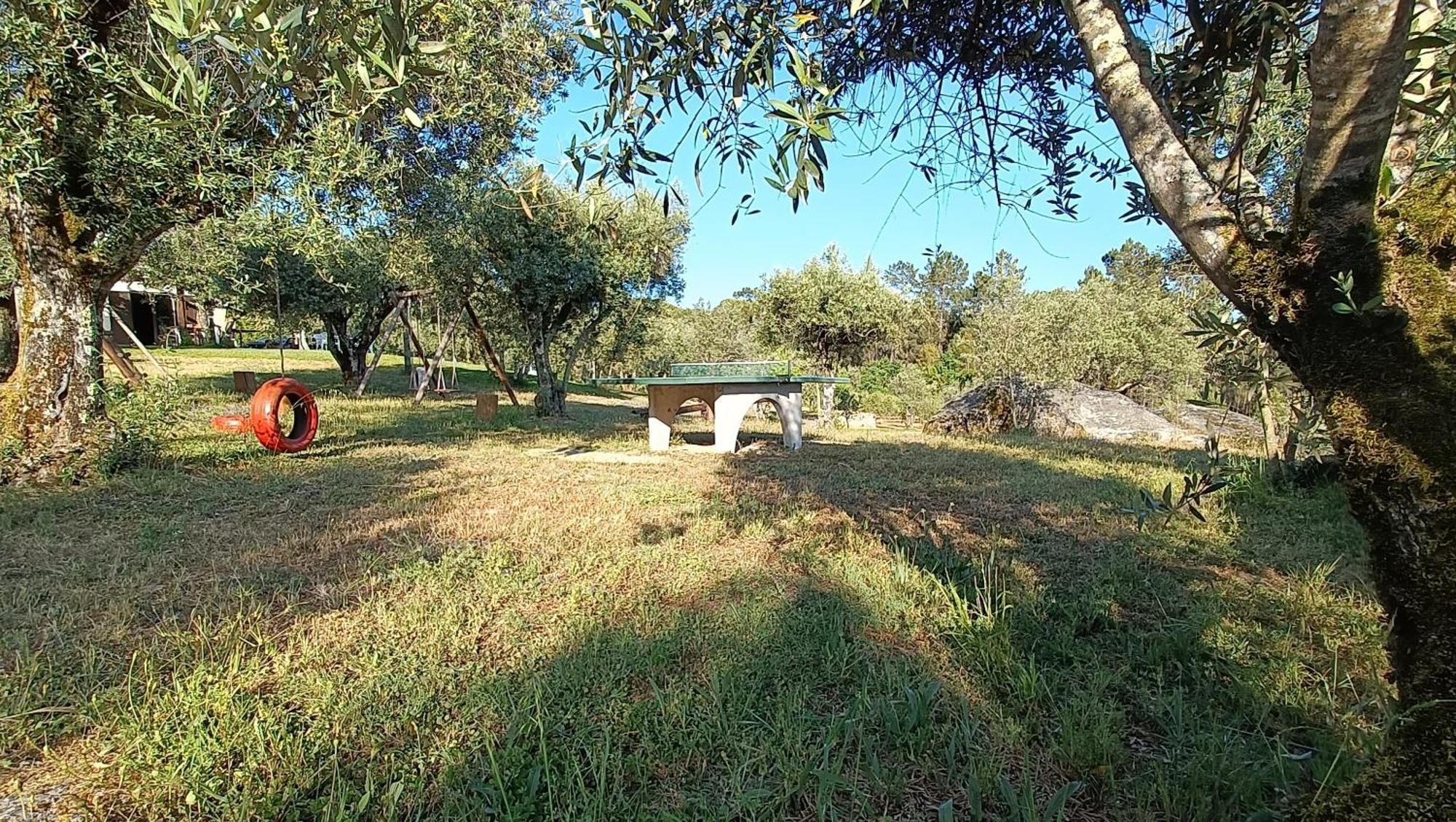 Quinta Da Pedra Mija ξενώνας Santar Εξωτερικό φωτογραφία