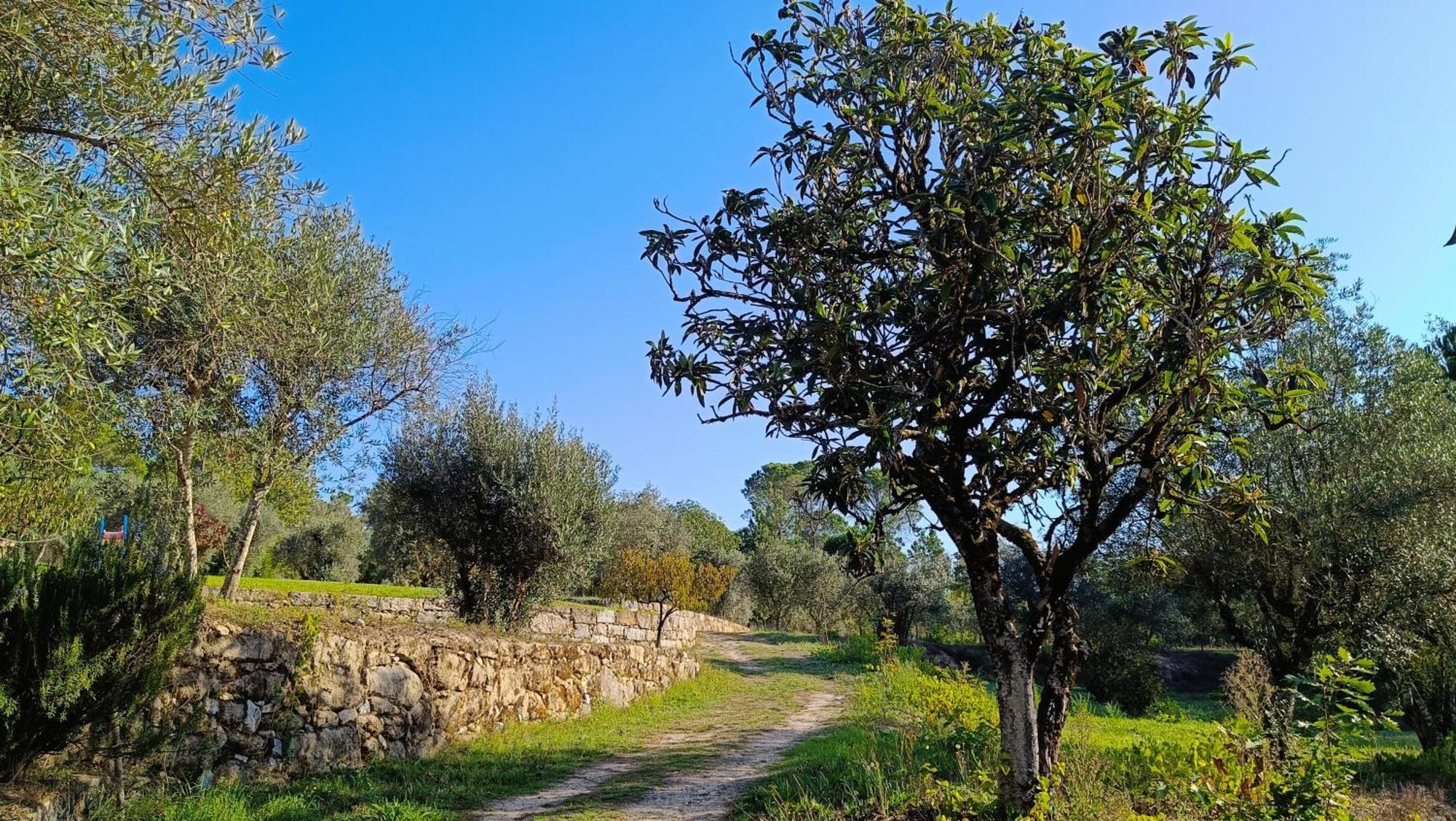 Quinta Da Pedra Mija ξενώνας Santar Εξωτερικό φωτογραφία